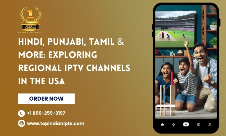 Indian IPTV in USA